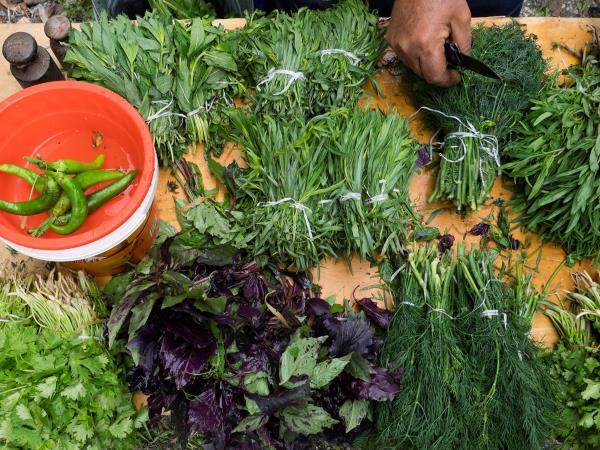 Georgia food and wine holiday with Carla Capalbo