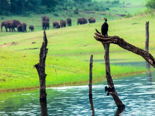 Kerala classic 14 day tour