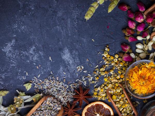 Tamil Nadu and Kerala Tour, India