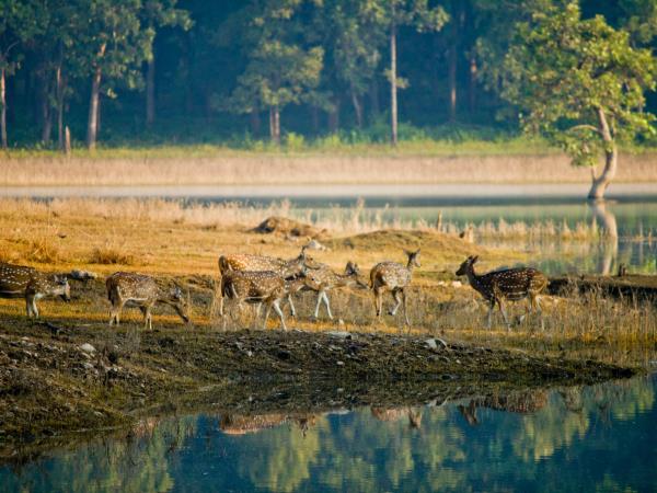 India 23 day luxury tour