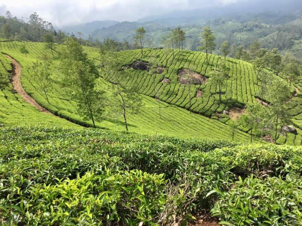 India 23 day luxury tour