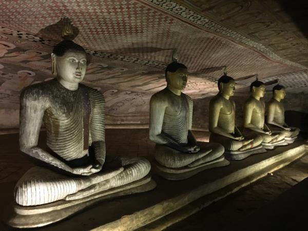 Culture and history tour of Sri Lanka