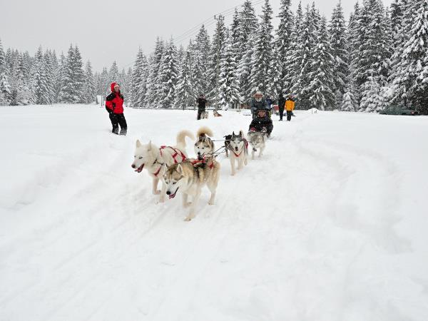 Winter family holiday in Slovakia, High Tatras