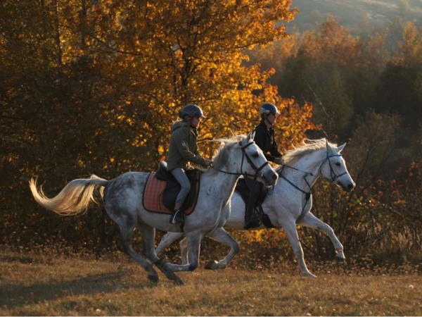Carpathia horse riding holiday in Romania