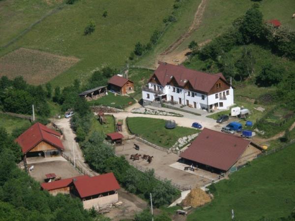 Carpathia horse riding holiday in Romania