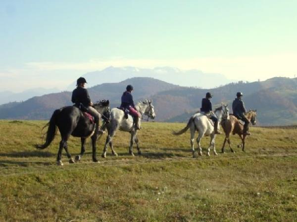 Carpathia horse riding holiday in Romania