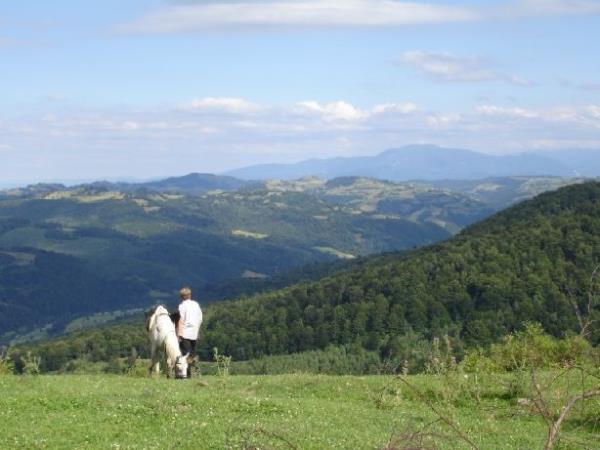 Carpathia horse riding holiday in Romania