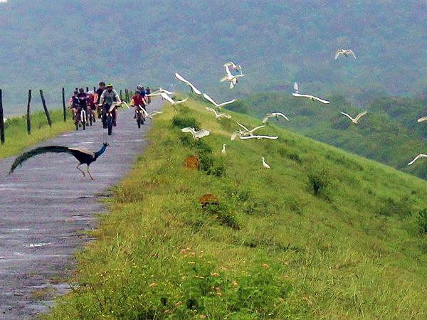 Walking & Cycling in Sri Lanka