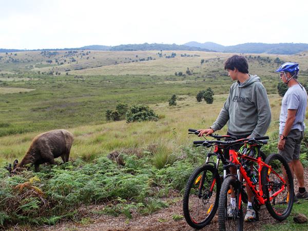 Walking & Cycling in Sri Lanka