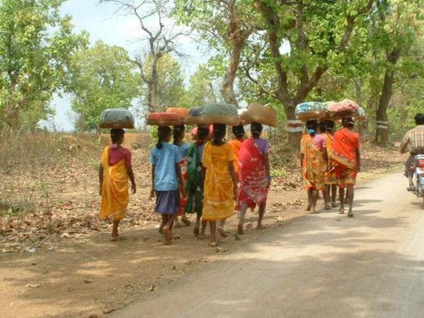 Central India small group tour