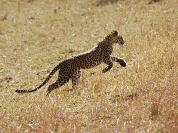 Central India small group tour