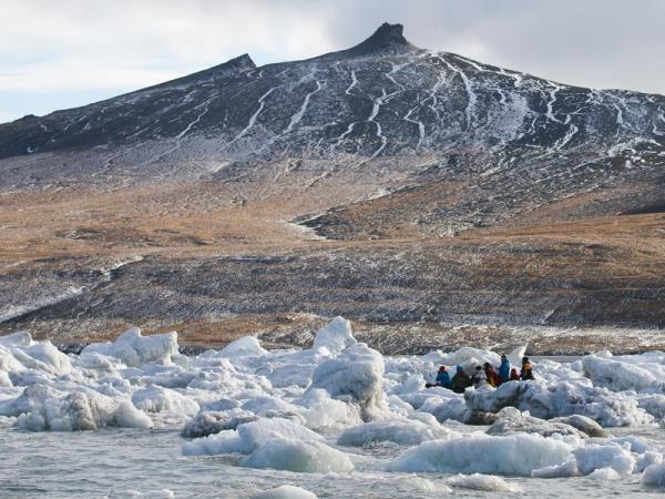 Chukotka and Wrangel Island wildlife cruises, Russia