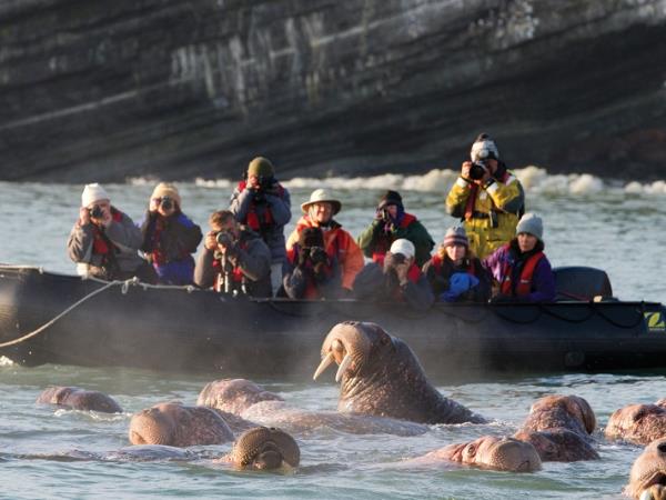Kamchatka wildlife and bird watching cruise, Russia