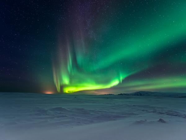 Lynx watching and Northern Lights in Swedish Lapland