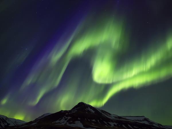 Lynx watching and Northern Lights in Swedish Lapland
