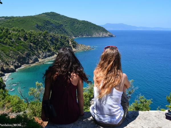 Dolphin conservation holiday in Greece