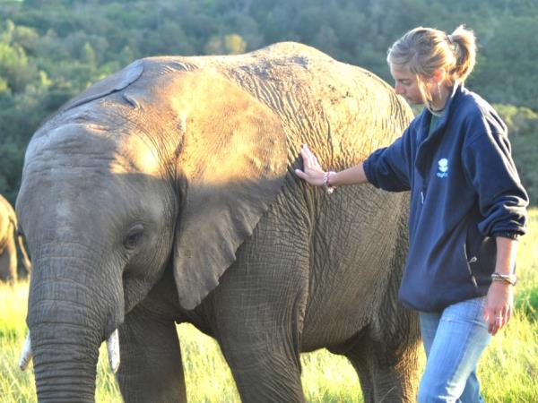 Volunteer with elephants in South Africa | Responsible Travel