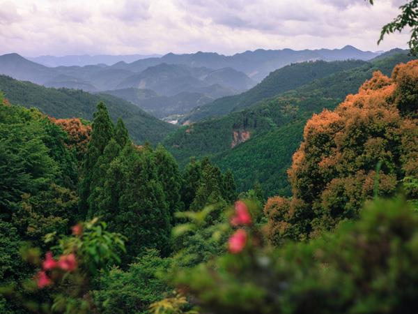 Honshu hiking holiday in Japan
