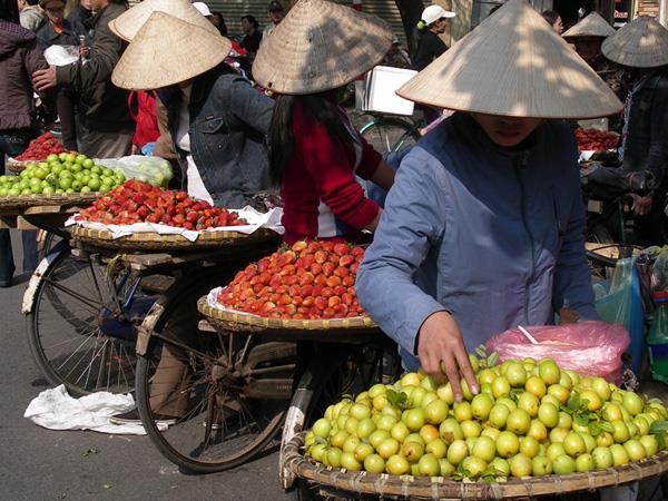 Vietnam food holiday