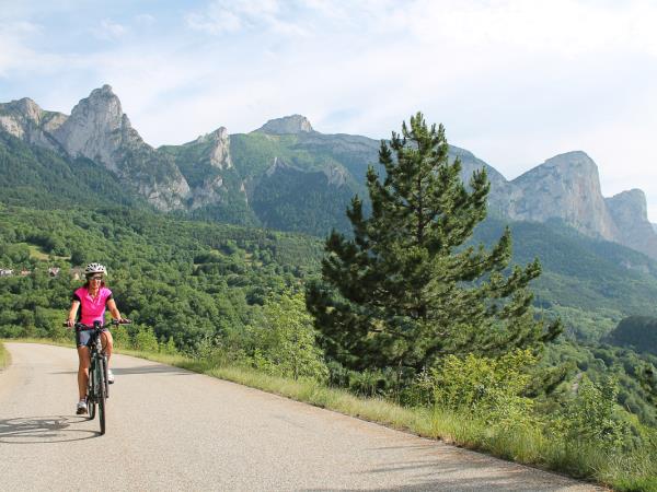 Guided Tour de France e-bike holiday