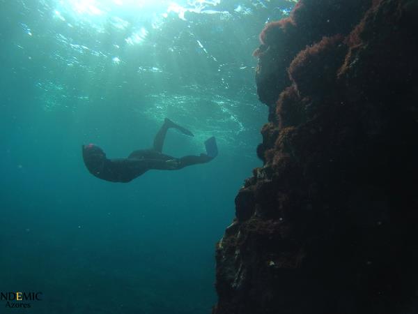 Azores holiday, Faial and Pico