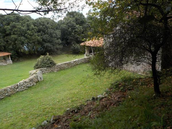 Learn Spanish and walk the Camino de Santiago, Spain