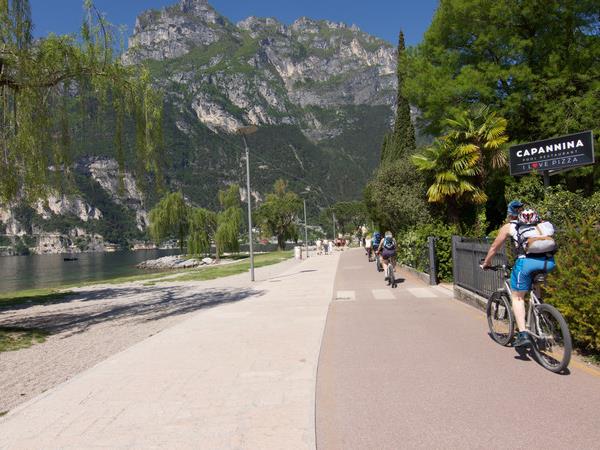 Florence to Pisa cycling holiday