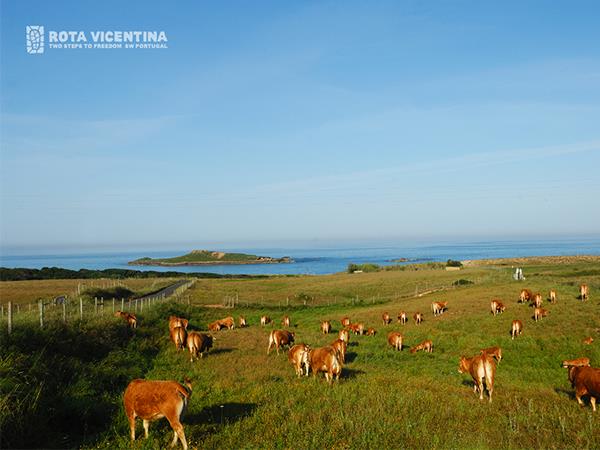 Rota Vicentina walking holiday in Portugal