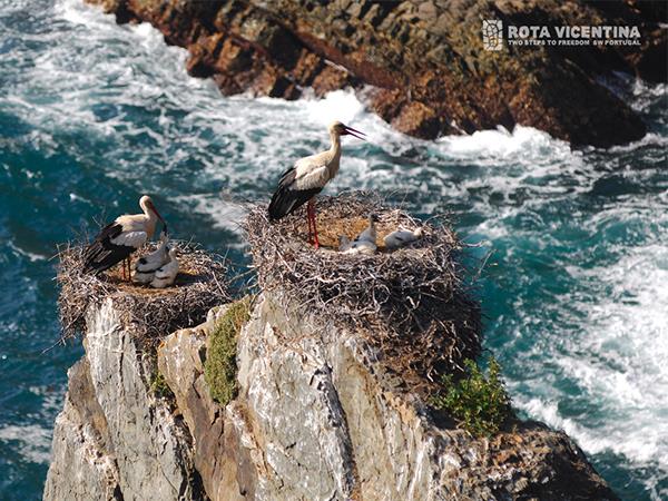 Rota Vicentina walking holiday in Portugal