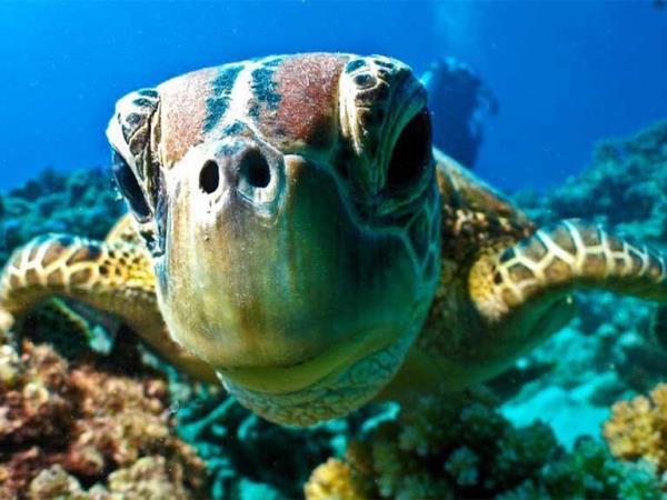 Thailand sailing holiday, 10 days