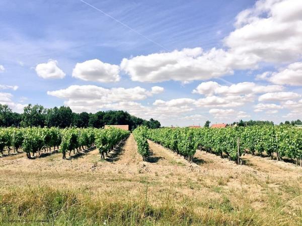 Loire self guided cycling holiday