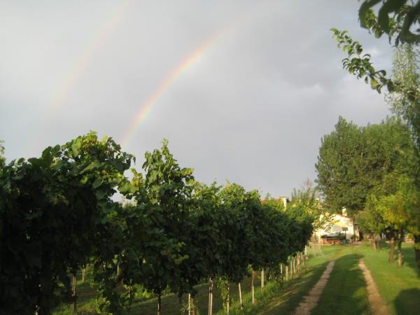 Italy cycling holiday, Venice & Veneto