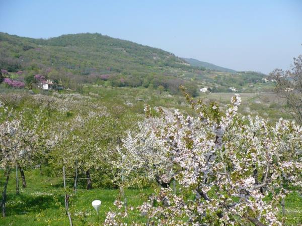 Italy cycling holiday, Venice & Veneto