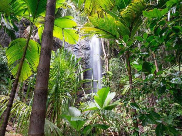 Seychelles sailing adventure holiday