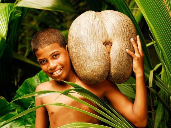 Seychelles sailing adventure holiday