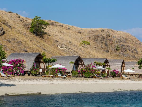 Dive in Komodo and Flores Land Adventure