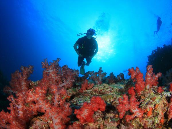 Dive in Komodo and Flores Land Adventure