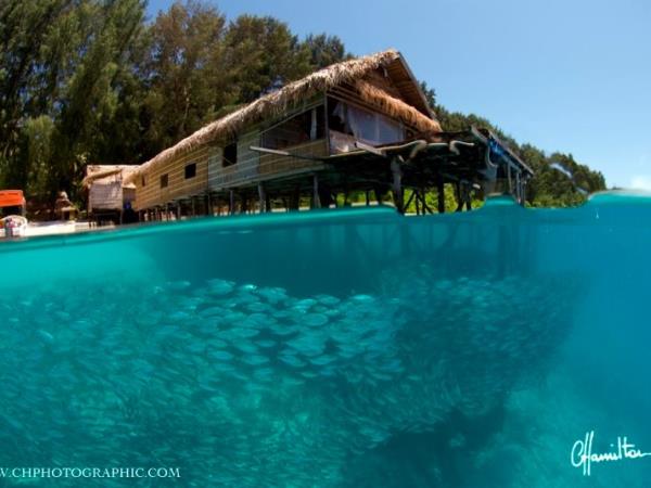 Raja Ampat diving holiday, plus Java tour, Indonesia