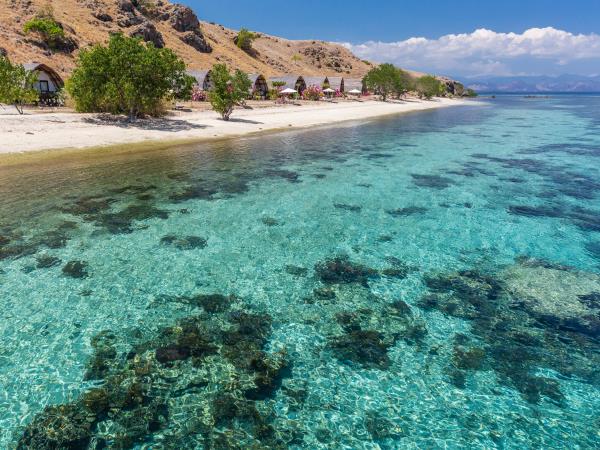 Komodo and Flores adventure holiday in Indonesia