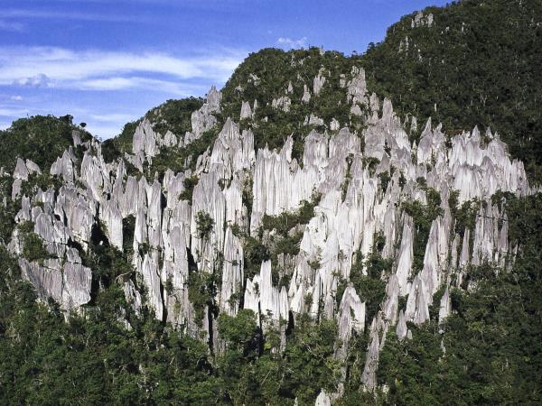 Borneo tailor made tour