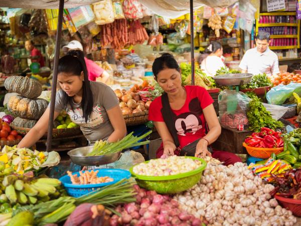 Cambodia tailor made holiday, Beyond The Ordinary