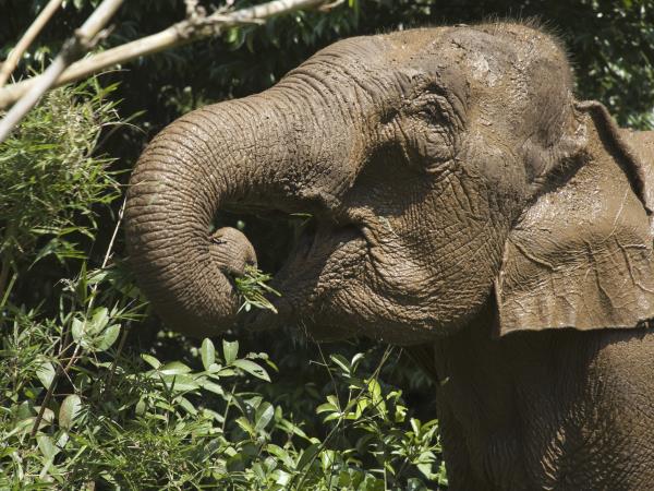 Cambodia tailor made holiday, Beyond The Ordinary