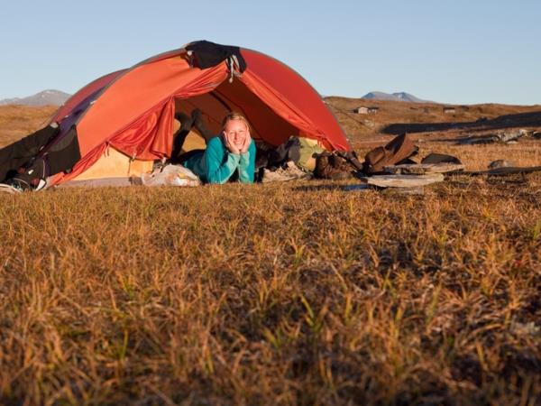 Sweden wilderness holiday, Moose expedition