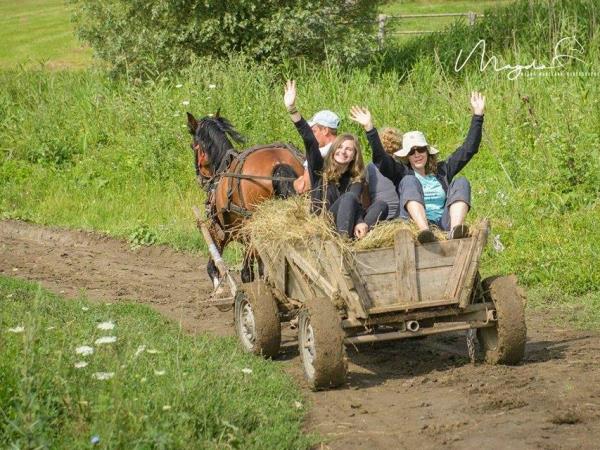 Transylvania farm and guesthouse
