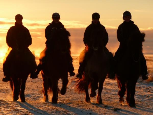 Iceland horse riding holiday