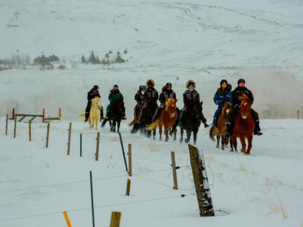 Iceland horse riding holiday