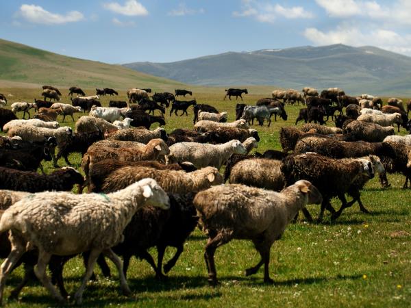 Kyrgyzstan holiday, small group