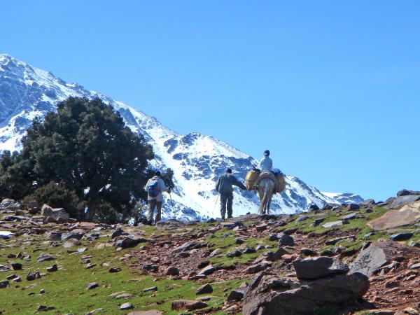 Morocco trekking holiday, Marrakech & coast