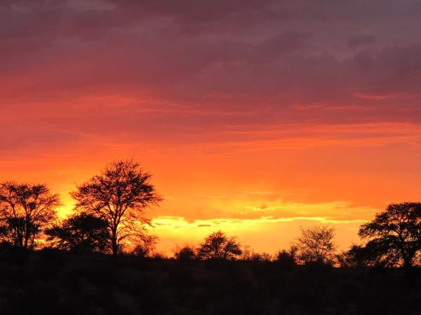 Kalahari safari in South Africa
