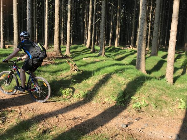 Single track cycling holiday in Poland